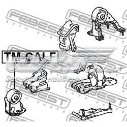 TMCALF Febest coxim (suporte dianteiro de motor)