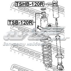 Pára-choque (grade de proteção) de amortecedor traseiro + bota de proteção TSHB120R Febest