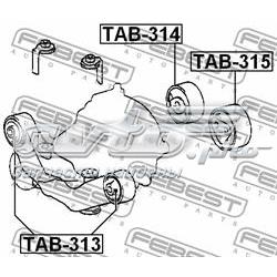 TAB315 Febest Сайлентблок (подушка) редуктора заднего моста задний левый