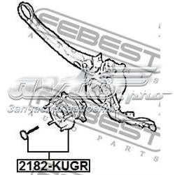 Подшипники задней ступицы Febest 2182KUGR цена, от 89.75 USD
