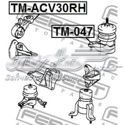 Купить TMACV30RH Febest Подушка (опора) двигателя правая верхняя