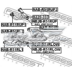 Шаровая опора задней подвески нижняя Febest 0220R51RLOW цена, от 26.17 USD