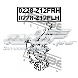 Цапфа передняя левая TAN4004 Topsauto
