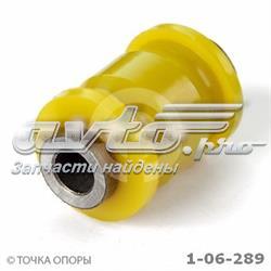 106289 Точка Опоры 