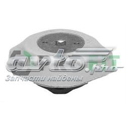 10150209 Profit coxim direito de transmissão (suporte da caixa de mudança)