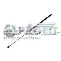 Amortecedor da capota Audi A6 4A5