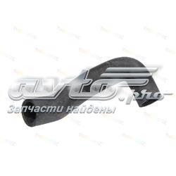 Mangueira (cano derivado) superior direita de intercooler 51780784 Fiat/Alfa/Lancia