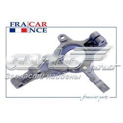 Цапфа (поворотный кулак) передний левый FCR210301 Francecar