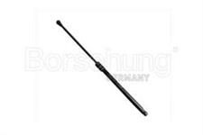 B14197 Borsehung