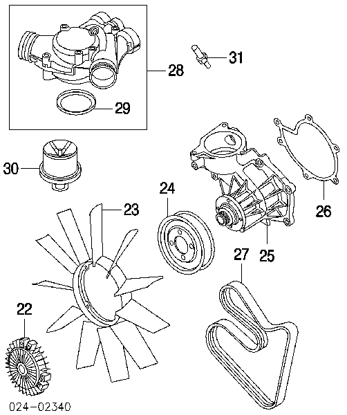 11287833265 BMW Поликлиновый ремень