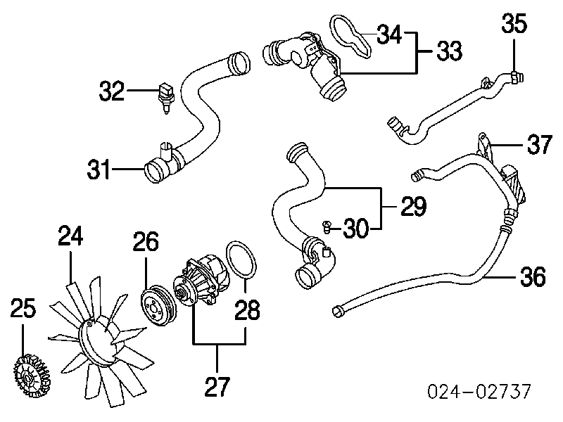 Mangueira (cano derivado) inferior do radiador de esfriamento para BMW 3 (E46)