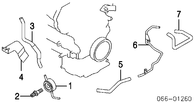 Mangueira (cano derivado) do sistema de esfriamento para Infiniti M35 (Y50)