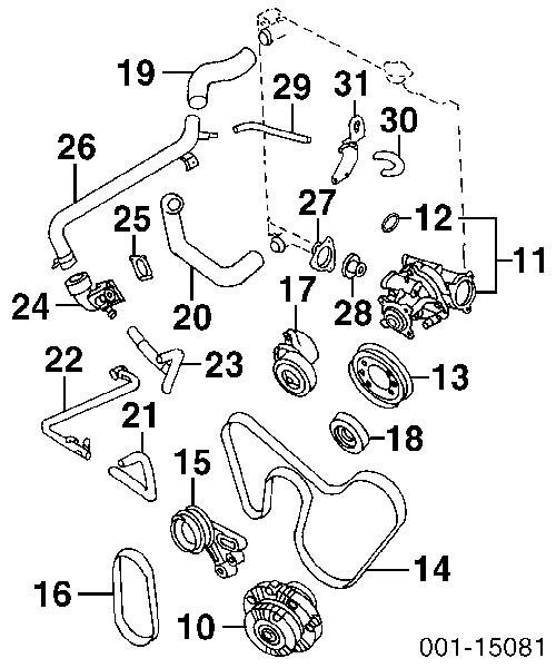 1714477 Suzuki correia dos conjuntos de transmissão