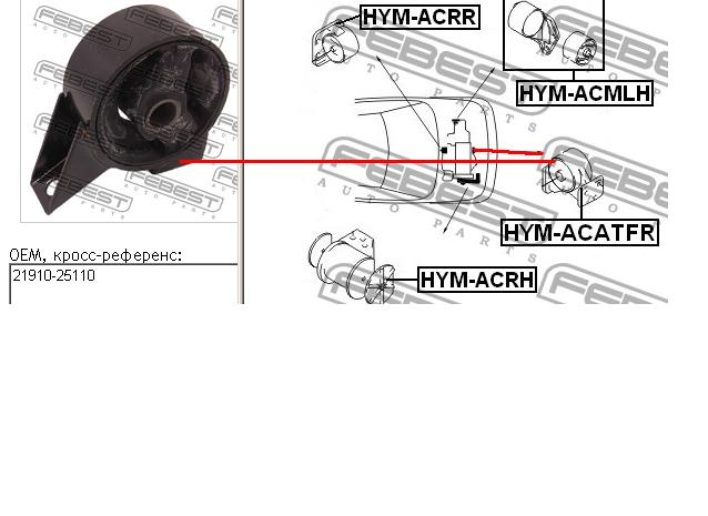 HYMACATFR Febest coxim (suporte dianteiro de motor)