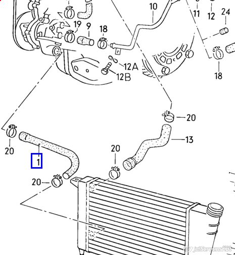 Mangueira (cano derivado) inferior do radiador de esfriamento para Volkswagen Jetta (16)