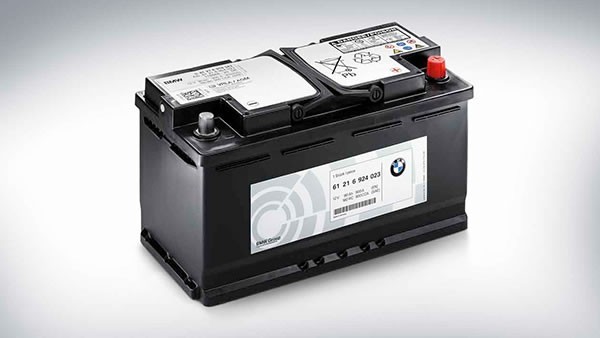 61216924023 BMW bateria recarregável (pilha)