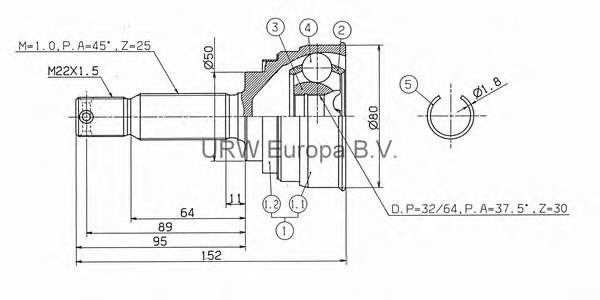 MS61550 URW junta homocinética externa dianteira