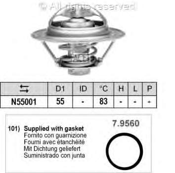 9616090280 Ferrari termostato