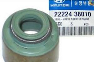 2222421010 Hyundai/Kia vedação de válvula (de óleo de escape)