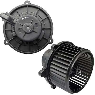 971132F000 Doowon motor de ventilador de forno (de aquecedor de salão)