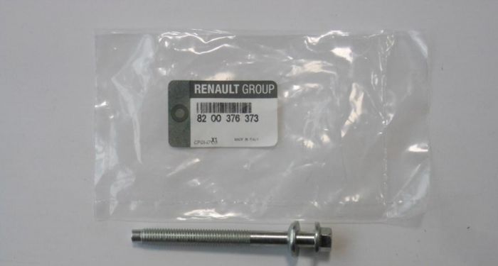 Parafuso de fixação do injetor para Renault Laguna (KG0)