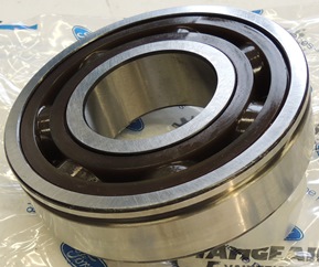 BB1B363228DB SKF