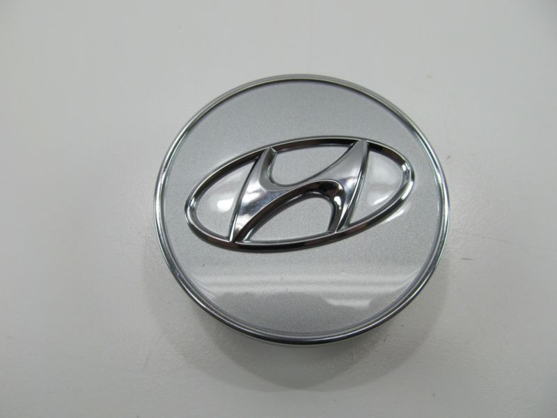 529602S250 Hyundai/Kia 