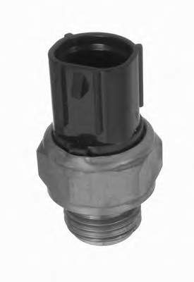 96065719 General Motors sensor de temperatura do fluido de esfriamento (de ativação de ventilador do radiador)