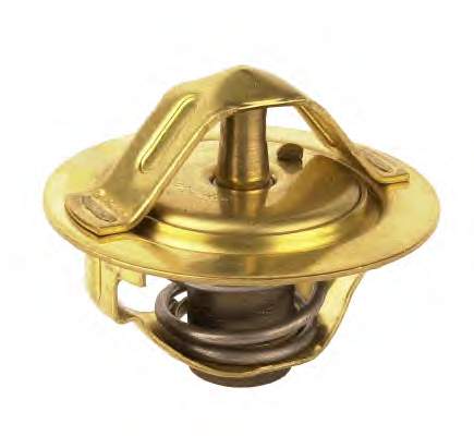 TE0124 Magneti Marelli termostato