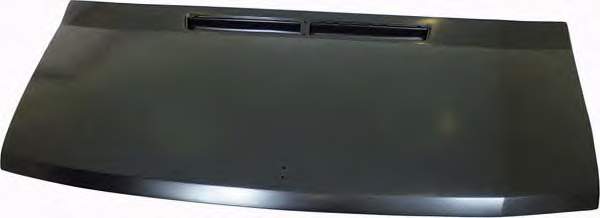 Капот двигателя VAN Wezel 3070660