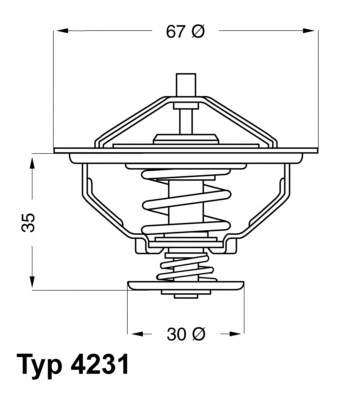 Термостат 423184D Wahler