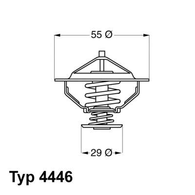 444683D Wahler termostato