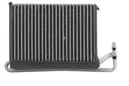 TOPT1254001 Bapmic