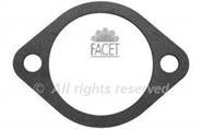 79607 Facet