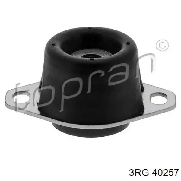 Compre 40257 3RG Coxim (suporte) esquerdo de motor