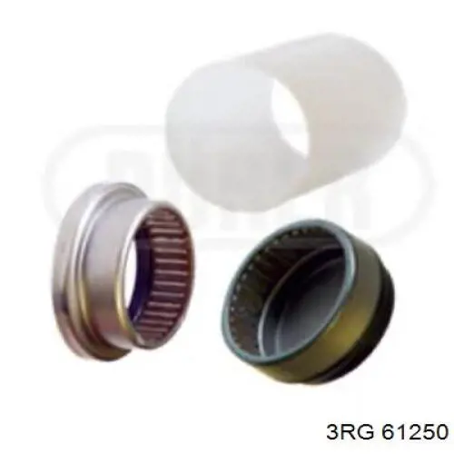 Купить 61250 3RG Игольчатый подшипник задней балки