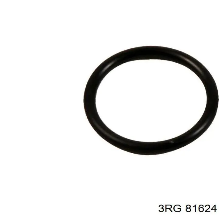 1661300QAA Renault (RVI) Ремкомплект насос-форсунки