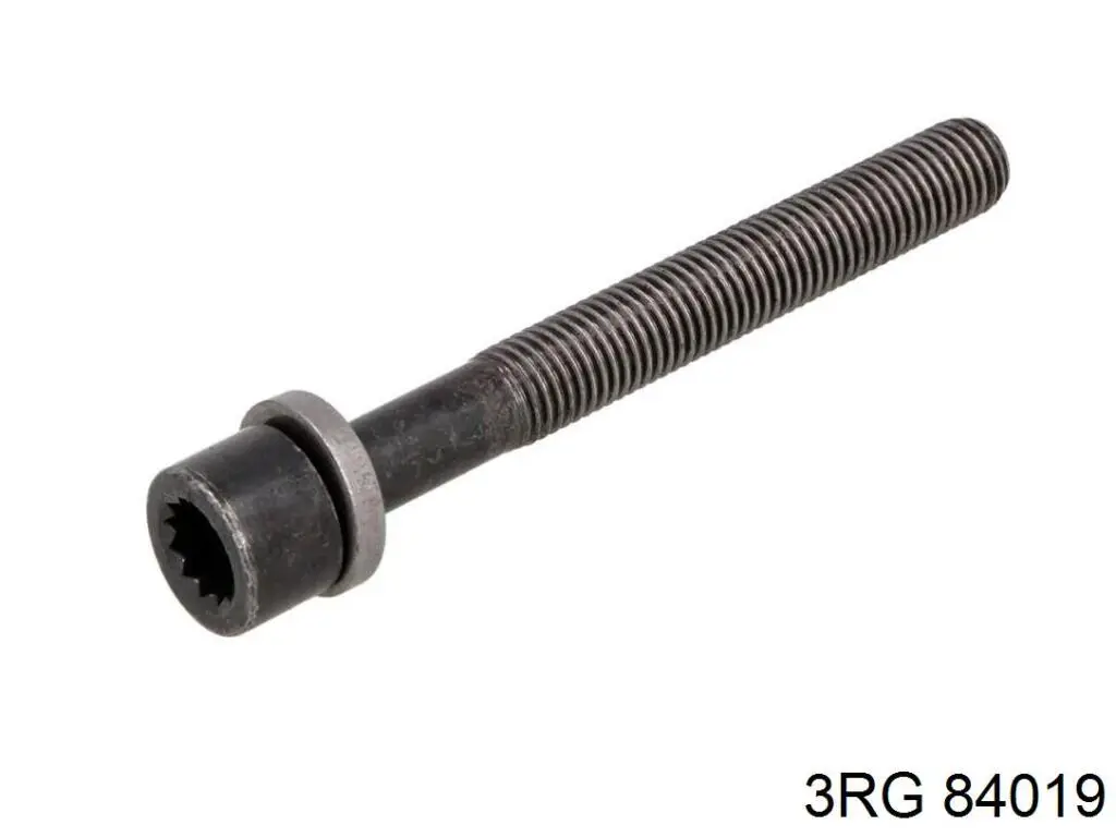 Купить 84019 3RG Заглушка ГБЦ