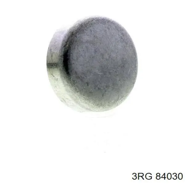 Заглушка ГБЦ FE07284 Febi