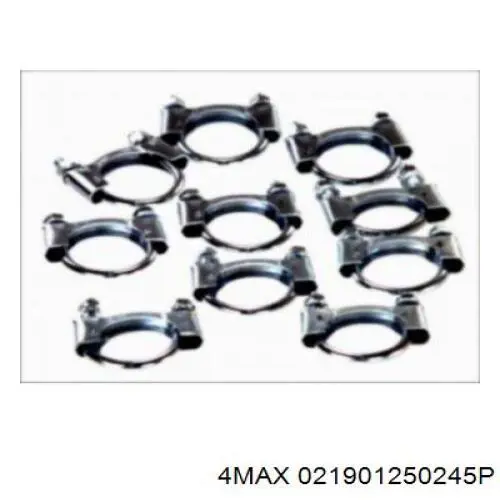 021901250245P 4max 