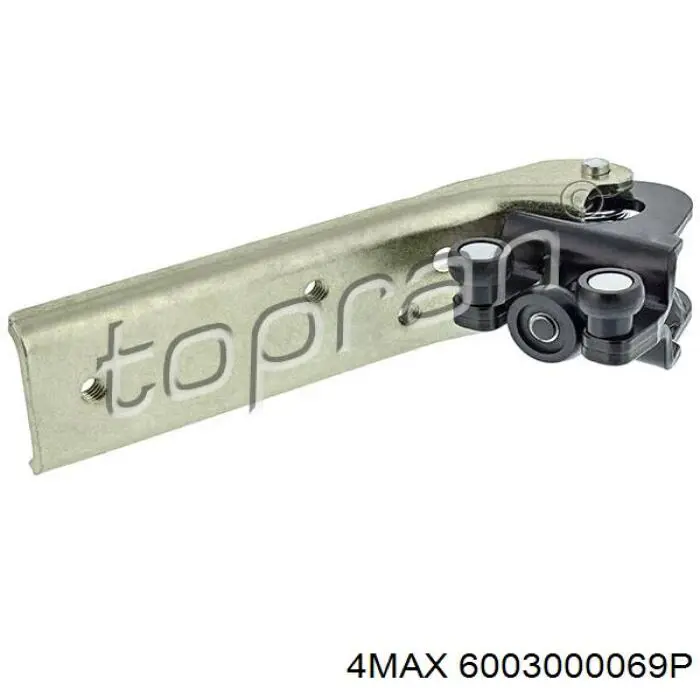 6003000069P 4max 