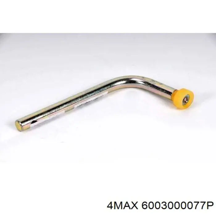 6003000077P 4max 