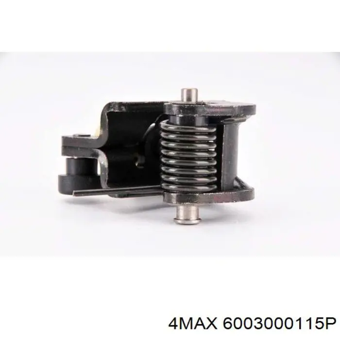 6003000115P 4max 