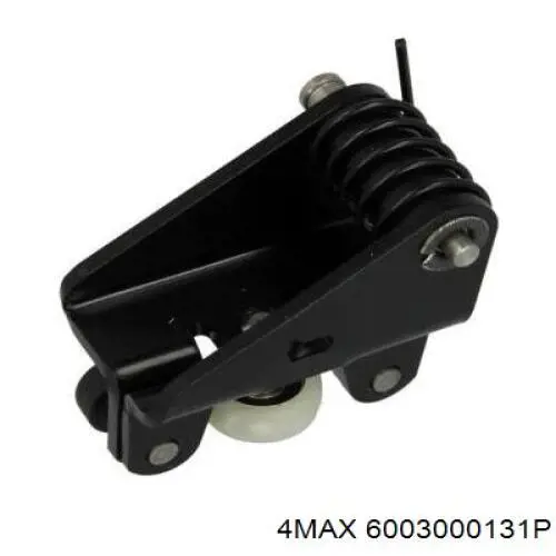 6003000131P 4max 