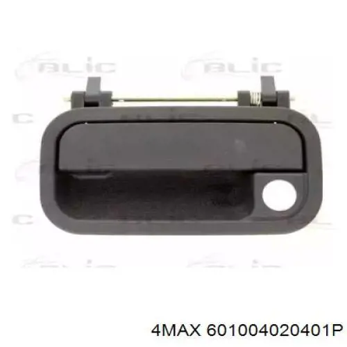 601004020401P 4max