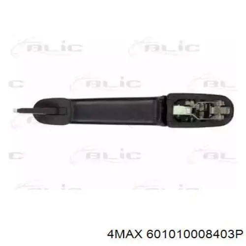 601010008403P 4max