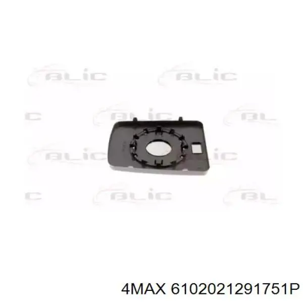 6102021291751P 4max