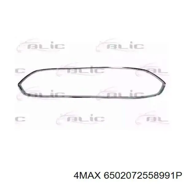 Накладка (рамка) решетки радиатора 4max 6502072558991P