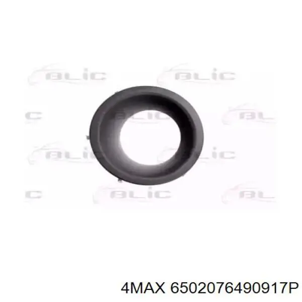 6502076490917P 4max 