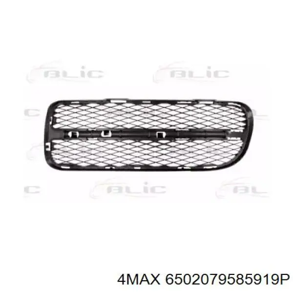 Решетка бампера переднего левая 7L6853665AV7S VAG